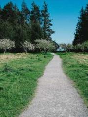 Falling for You: The