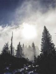 One Night of Indulge