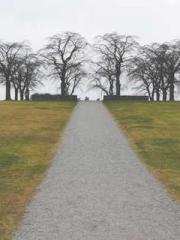 The Ugly Womanapos;s