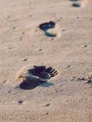 Two Treasures Arrive