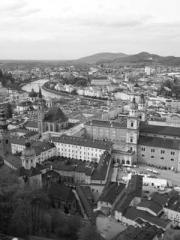 I Picked Up a Cultiv