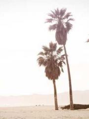 The wife wishes to b