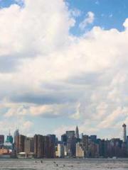 The Apothecaryapos;s