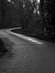 Become a big shot in