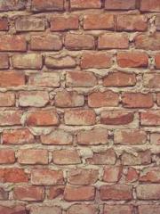 Super husband Lin Xi