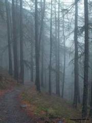 lt;The misfortune of