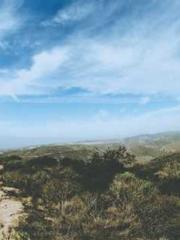 Lu Wanwan Li Jingche