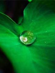 Rong Zhao, male, Nin