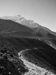 Wine, sex, money and