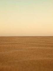 The Poisonous Doctor