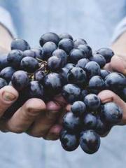 The wife wishes to b