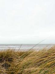 lt;lt;lt;The Peerles