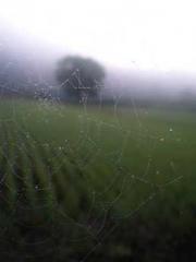 The Best Little Body