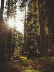 lt;Marry at first si