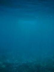 lt;Heavenly Fire Dyn