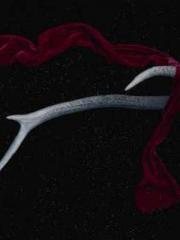 Rebirth as a Court A