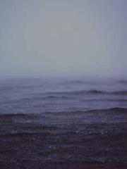 Wine, sex, money and