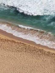 Rebirth of the Urban