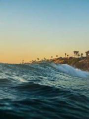 Eternal Sword Ancest