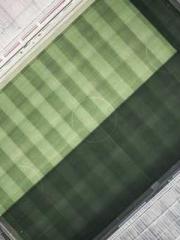 The Exclusive Daught