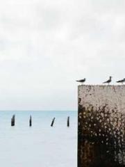 Two Treasures Arrive